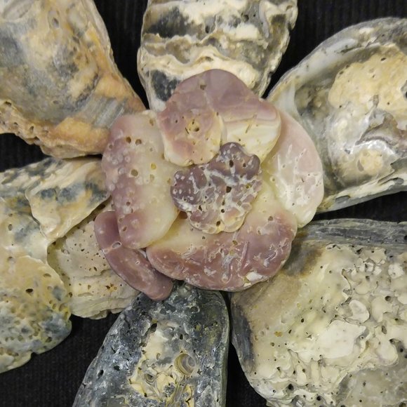 Shell Flower 9 x 12 inch shadow box - Picture 3 of 5